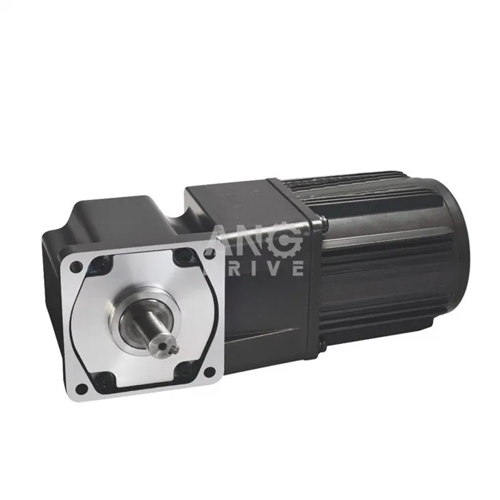 AC right angle solid shaft gear motor