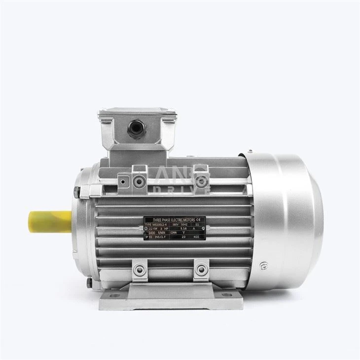 IE2 motor