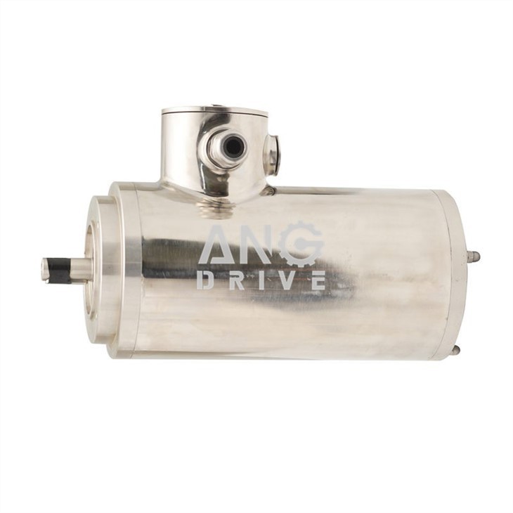 TENV Stainless Motor